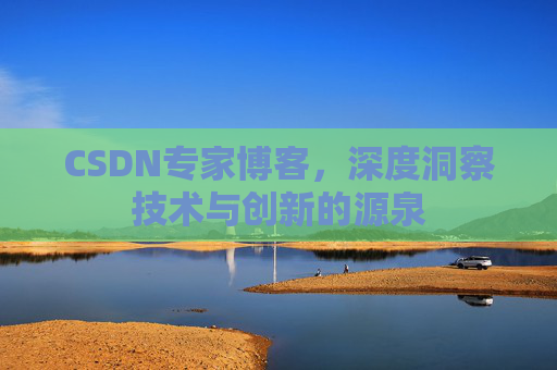 CSDN专家博客，深度洞察技术与创新的源泉